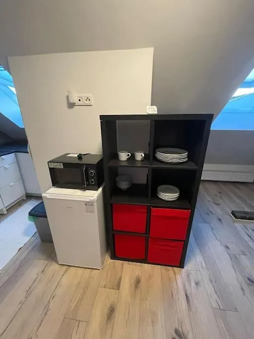 Francis Apartment 2 - Lazenske Centrum Karlovy Vary República Checa